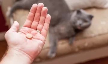 Hond of kat medicijnen geven? Dit moet je weten