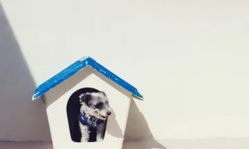 Trust & Safety when Working in Client Homes